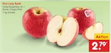 Pink Lady Äpfel im aktuellen Netto Marken-Discount Prospekt