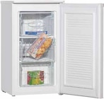 Aktuelles Tischgefrierschrank GS 15496 W Angebot bei expert in Oldenburg ab 169,00 €