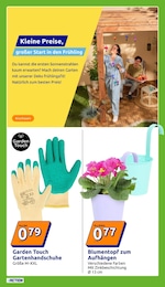 Blumentopf Angebot im aktuellen Action Prospekt auf Seite 17