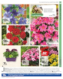 Offre Fleurs d'extérieur dans le catalogue Carrefour du moment à la page 5
