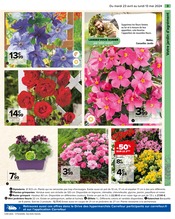 Promos Fleurs d'extérieur dans le catalogue "EMBELLIR VOTRE EXTÉRIEUR AVEC NOS EXPERTS" de Carrefour à la page 5