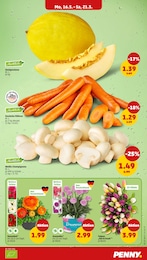Pflanzen Angebot & Preis im aktuellen Penny Prospekt Pflanzen Angebot im aktuellen Penny Prospekt auf Seite 5