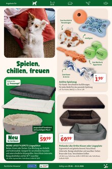 Bett im aktuellen Fressnapf Prospekt (Aachen) Bett im Fressnapf Prospekt "Tierisch viel Weihnachten" mit 27 Seiten (Aachen)