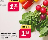 Radieschen Mix bei Netto mit dem Scottie im Brieselang Prospekt für 1,49 €