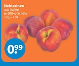 Aktuelle Obst Angebote bei V-Markt in München Aktuelles Nektarinen Angebot bei V-Markt in München ab 0,99 €
