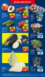 Gemüse im Lidl Prospekt in Seevetal Aktueller Lidl Prospekt mit Gemüse, "LIDL LOHNT SICH", Seite 3