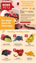 REWE Prospekt für Windeck mit 30 Seiten REWE Prospekt für Windeck: "Dein Markt", 30 Seiten, 31.08.2026 - 05.09.2026