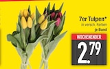 7er Tulpen von  im aktuellen EDEKA Prospekt für 2,79 €