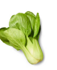 Mini-Pak-Choi im Angebot bei Kaufland in Kassel Mini-Pak-Choi Angebote bei Kaufland Kassel für 0,99 €