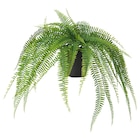 Topfpflanze, künstlich drinnen/draußen hängend/Farn Angebote von FEJKA bei IKEA Freiberg für 7,99 €