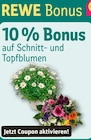 Gartenbepflanzung im REWE Prospekt 10 % Bonus im aktuellen REWE Prospekt