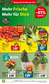 Deko-Blumen Angebote im Prospekt "LIDL LOHNT SICH" von Lidl Deko-Blumen Angebote im Prospekt "LIDL LOHNT SICH" von Lidl auf Seite 2
