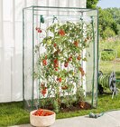 Aktuelles Tomatengewächshaus Angebot bei REWE in Mannheim ab 17,99 €