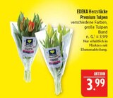 Aktuelle Tulpen Angebote bei Marktkauf in Nürnberg Aktuelles Premium Tulpen Angebot bei Marktkauf in Nürnberg ab 3,99 €