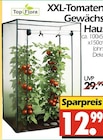 XXL-Tomaten Gewächshaus bei Wreesmann im Prospekt "" für 12,99 €