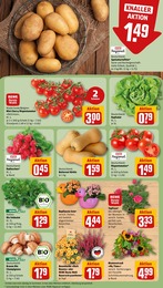 Heide Angebot & Preis im aktuellen REWE Prospekt Heide Angebot im aktuellen REWE Prospekt auf Seite 9