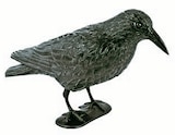 Aktuelles Taubenschreck Rabe Angebot bei Thomas Philipps in Bochum ab 2,99 €