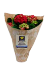 Bauernhortensie bei EDEKA im Ascheberg Prospekt für 6,99 €