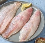 Rotbarschfilet im Angebot bei tegut in Fulda Rotbarschfilet Angebote bei tegut Fulda für 2,79 €