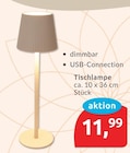 Tischlampe im aktuellen budni Prospekt
