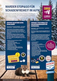 Bosch Car Service Batterie im Prospekt Bosch Car Service Batterie im Prospekt