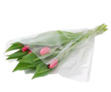 Tulpen Angebote bei EDEKA Neubrandenburg für 1,99 €