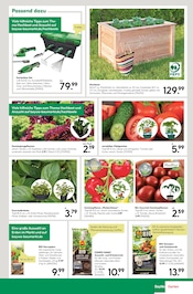 Ähnliche Angebote wie Häcksler im Prospekt "Hier bin ich gern" auf Seite 5 von BayWa Bau- und Gartenmärkte in Kirchheim