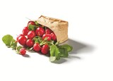 Radieschen Angebot in Voerde (Niederrhein) Radieschen im aktuellen Prospekt bei Lidl in Voerde (Niederrhein)