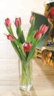 7 tulipes - U en promo chez U Express Vitry-sur-Seine à 3,99 €