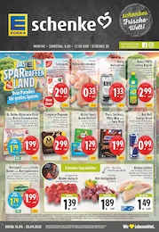 EDEKA Prospekt für Rheda-Wiedenbrück: "Aktuelle Angebote", 26 Seiten, 15.09.2025 - 20.09.2025