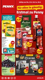 Penny Discounter Prospekt der aktuellen Woche mit 34 Seiten, gültig von 25.08.2025 bis 31.08.2025, in Bempflingen und Umgebung Aktueller Penny Discounter Prospekt in Bempflingen und Umgebung, "Wer günstig will, muss Penny." mit 34 Seiten, 25.08.2025 - 31.08.2025