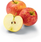 Bio Äpfel im Angebot bei Netto Marken-Discount in Görlitz Bio Äpfel Angebote von BioBio bei Netto Marken-Discount Görlitz für 2,49 €