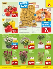 Aktueller Netto Marken-Discount Prospekt mit Mixer, "Aktuelle Angebote", Seite 5