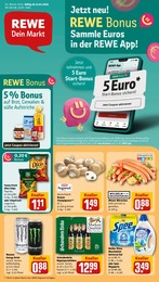 REWE Prospekt für Konstanz mit 30 Seiten REWE Prospekt "Dein Markt" für Konstanz, 30 Seiten, 13.01.2025 - 18.01.2025