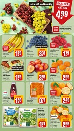 Salat im REWE Prospekt in Freiburg Aktueller REWE Prospekt mit Salat, "Dein Markt", Seite 6