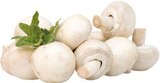 Champignons "weiß" Angebote bei EDEKA Osnabrück für 1,77 €