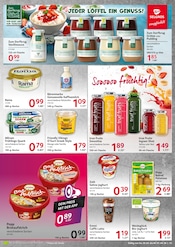 Aktueller Selgros Prospekt mit Joghurt, "cash & carry", Seite 13