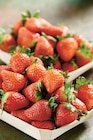 Fraise Ronde en promo à 3,79 € chez Netto Fraise Ronde dans le catalogue Netto