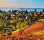 Heidelbeerwein von Katlenburger im aktuellen Kaufland Prospekt