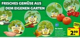 Balkon-Zucchini oder Bullhorn Chili oder Balkon-Hokkaido oder Cherry-Tomate oder Süßkartoffel oder Andenbeere im Angebot bei Hagebaumarkt in Recklinghausen Balkon-Zucchini oder Bullhorn Chili oder Balkon-Hokkaido oder Cherry-Tomate oder Süßkartoffel oder Andenbeere Angebote von Blu bei Hagebaumarkt Recklinghausen für 2,99 €