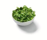 Aktuelles Bio Feldsalat Angebot bei Lidl in Nürnberg ab 1,11 €