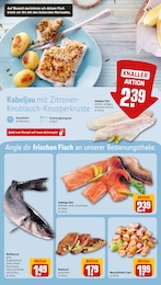 REWE Rotbarsch im Prospekt 