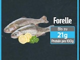 Forelle bei E center im Angebot Forelle im aktuellen E center Prospekt