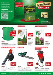 Aktueller Hagebaumarkt Prospekt mit Gartenerde, "UNSER JUBILÄUMSGEWINNSPIEL", Seite 7