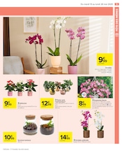 Orchidée Angebote im Prospekt "FÊTE DES MÈRES" von Carrefour Orchidée Angebote im Prospekt "FÊTE DES MÈRES" von Carrefour auf Seite 7