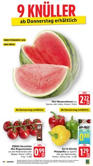 Tomaten im aktuellen E center Prospekt (Freiburg (Breisgau)) Tomaten im E center Prospekt "Aktuelle Angebote" mit 49 Seiten (Freiburg (Breisgau))