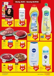 Grillfleisch im Netto Marken-Discount Prospekt in Bruchsal Aktueller Netto Marken-Discount Prospekt mit Grillfleisch, "Aktuelle Angebote", Seite 37