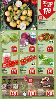 Pflanzen im aktuellen REWE Prospekt (Nürnberg) Pflanzen im REWE Prospekt "Dein Markt" mit 22 Seiten (Nürnberg)