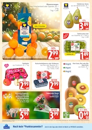 Obst im Marktkauf Prospekt Obst im Marktkauf Prospekt Top Angebote auf S. 6