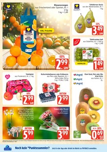 Zimmerpflanzen im aktuellen Marktkauf Prospekt (Hamburg) Zimmerpflanzen im Marktkauf Prospekt "Top Angebote" mit 40 Seiten (Hamburg)